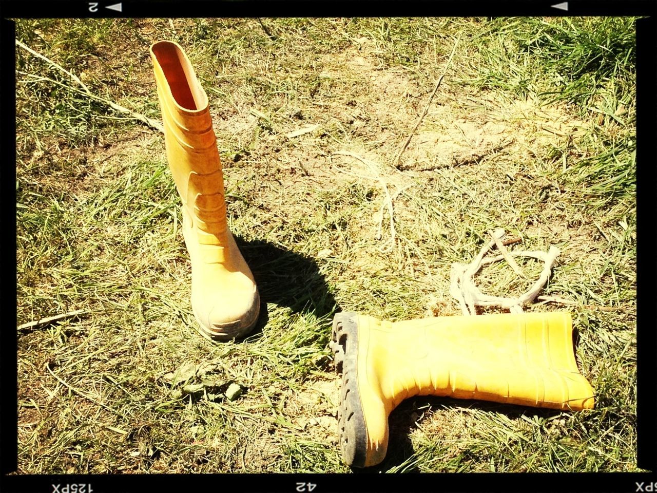 transfer print, auto post production filter, still life, high angle view, shoe, grass, absence, ground, close-up, field, abandoned, pair, day, two objects, footwear, outdoors, no people, low section, single object, dirty