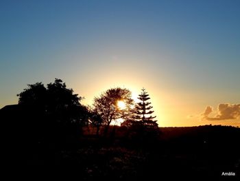 Silhouette trees on field against sky at sunset