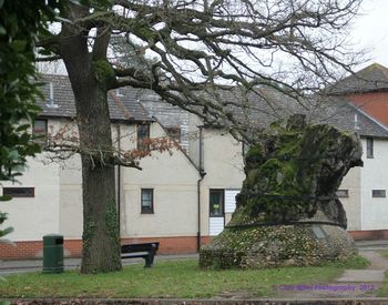 Building with trees in background