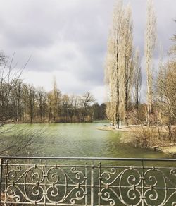 Close-up of water against trees