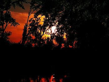 Silhouette trees against sky during sunset