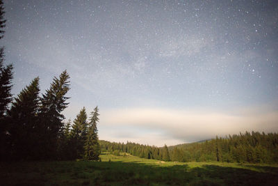 Scenic view of forest against sky at night