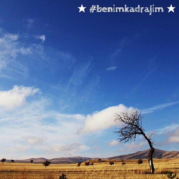 sky, landscape, tree, blue, cloud - sky, tranquility, tranquil scene, cloud, nature, scenics, beauty in nature, field, desert, built structure, day, bare tree, building exterior, outdoors, sand, no people