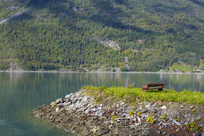 Scenic view of lake in forest