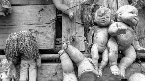 Disturbing collection of over a thousand dolls adorning a small island in xochimilco 