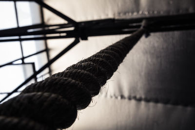 Close-up of rope on wood