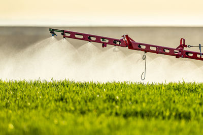 Close-up of tractor sprinkling fertilizer on crop in farm