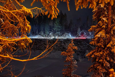 Reflection of trees in lake during autumn