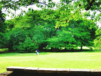 People relaxing on park bench