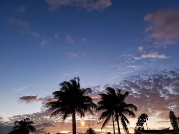 Silhouette palm trees against sky during sunset