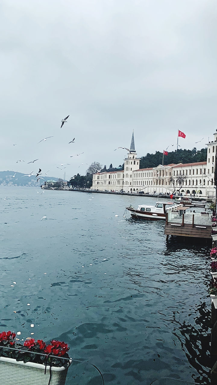 VIEW OF BIRDS FLYING OVER SEA