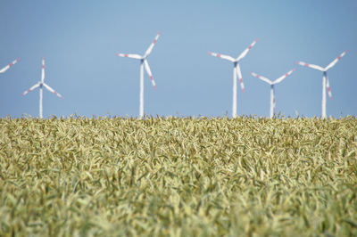 Windmills at farm against clear sky