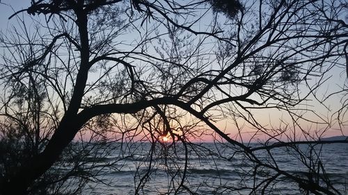 Silhouette bare tree by sea against sky during sunset