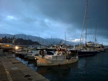 Sailboats moored at harbor