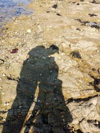 High angle view of shadow on beach