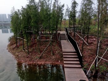 Boardwalk amidst trees against sky