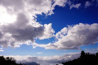 Low angle view of trees against cloudy sky