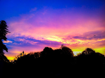 Silhouette of trees at sunset