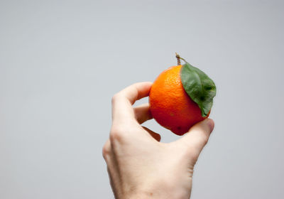 Close-up of hand holding fruit against white background