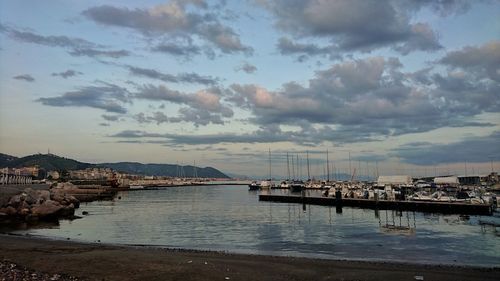 Sailboats moored in harbor