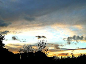 Low angle view of silhouette plants against dramatic sky