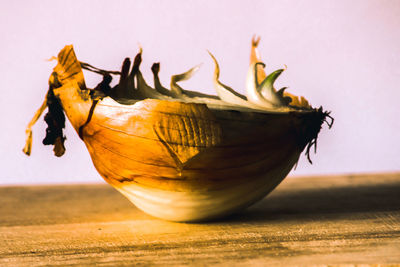 Close-up of fruit on table