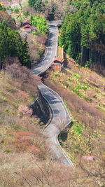 High angle view of road amidst trees in forest