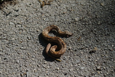 High angle view of rusty chain on rock