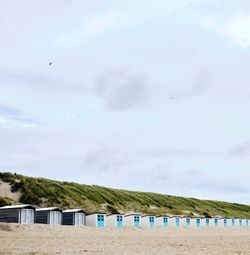 Texel island's ladnscape