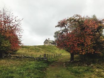 Trees growing on field against sky during autumn