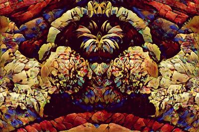 Full frame shot of multi colored flower