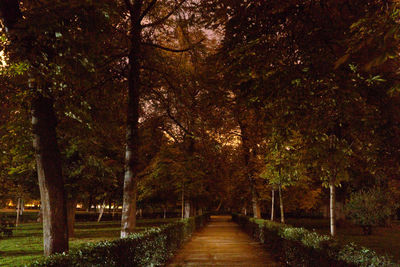 Footpath amidst trees at park during autumn