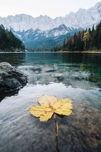 Scenic view of lake and mountains during autumn