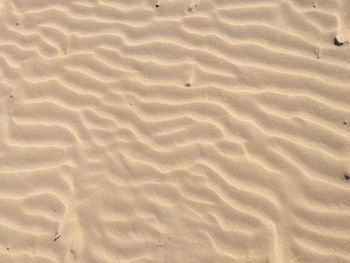 Full frame shot of sand at beach