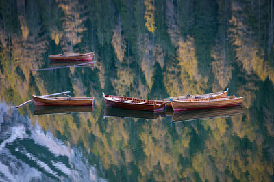 Boats moored on lake by trees