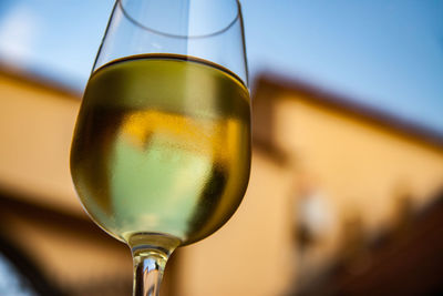 Close-up of beer in glass