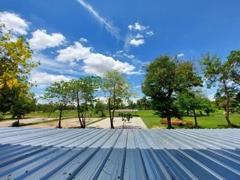 Trees on footpath against sky