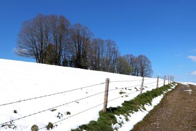 Trees on snow covered landscape against clear sky