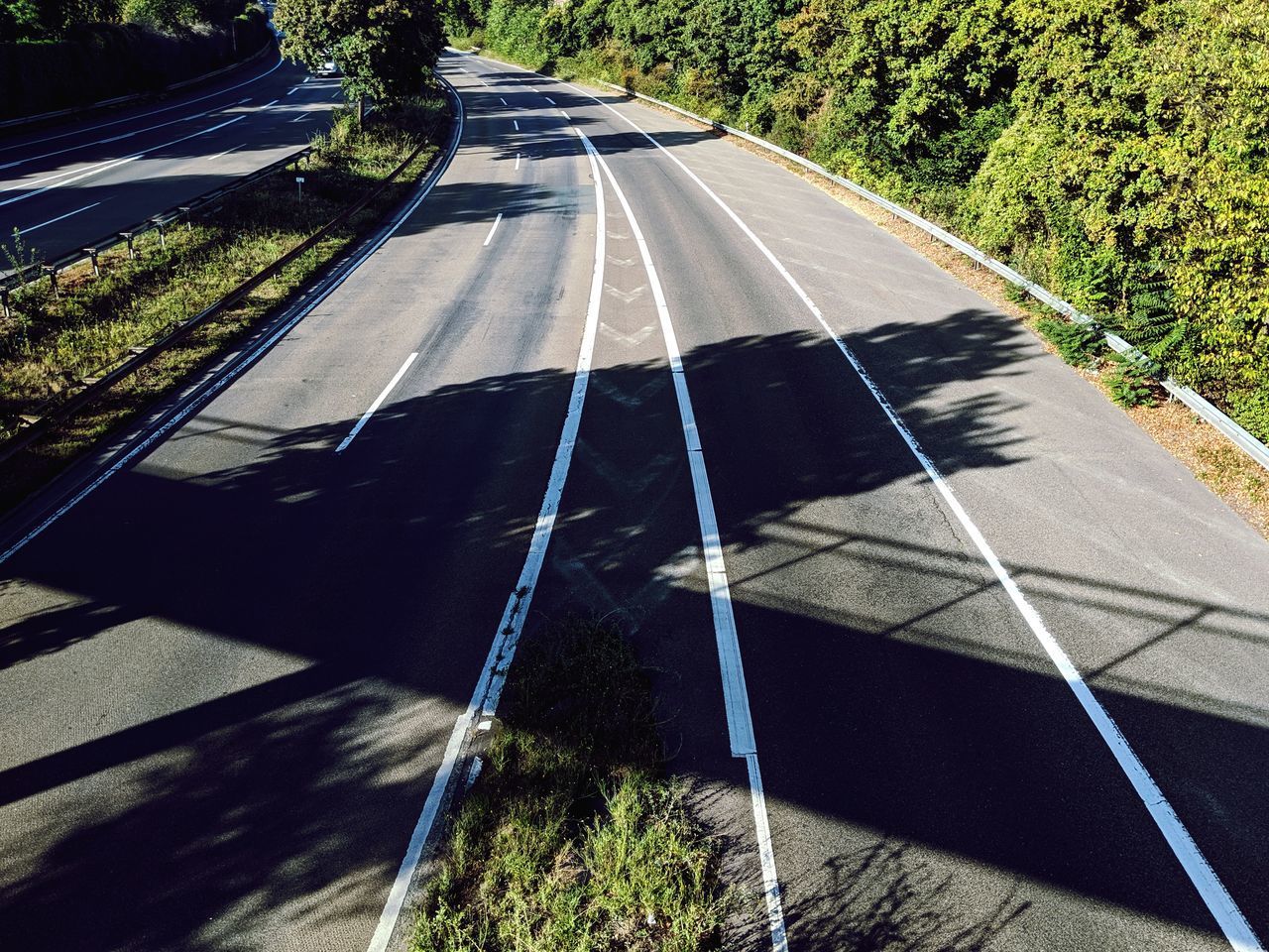 ROAD BY TREES