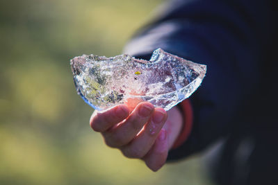 Close-up of hand holding ice