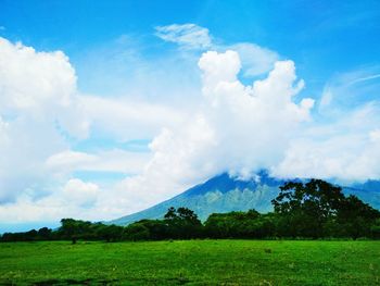 Scenic view of field against sky