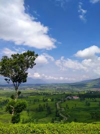 Scenic view of landscape against sky