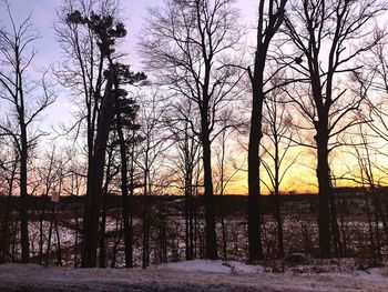 Bare trees on snow covered land during sunset