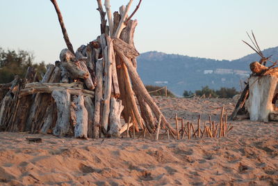 Stack of logs on field in forest against clear sky