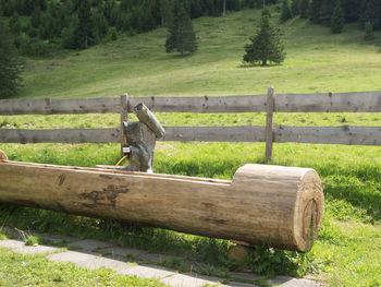 View of an animal on grassy field