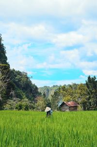 Scenic view of field against sky