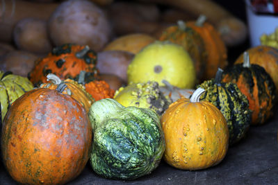 Close-up of pumpkins for sale at market stall