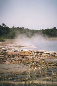 nature