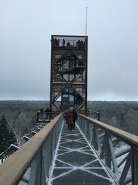 People on canopy walkway