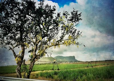 Scenic view of grassy field against cloudy sky